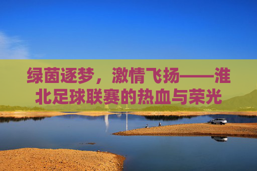绿茵逐梦，激情飞扬——淮北足球联赛的热血与荣光