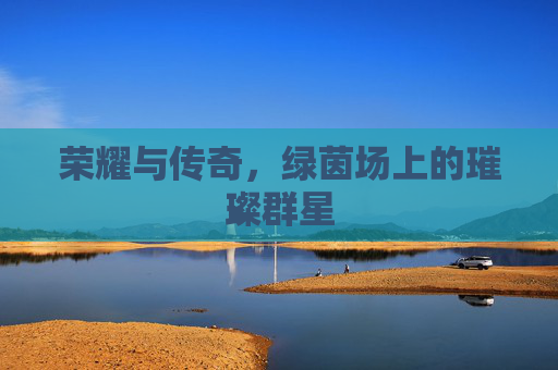 荣耀与传奇,绿茵场上的璀璨群星