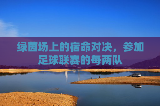 绿茵场上的宿命对决,参加足球联赛的每两队
