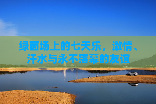 绿茵场上的七天乐,激情、汗水与永不落幕的友谊