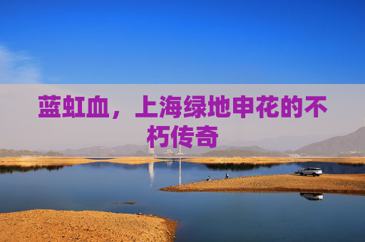 蓝虹血，上海绿地申花的不朽传奇