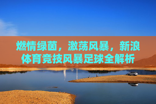燃情绿茵,激荡风暴,新浪体育竞技风暴足球全解析