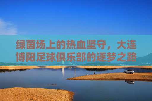 绿茵场上的热血坚守，大连博阳足球俱乐部的逐梦之路