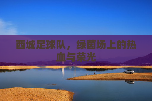 西城足球队,绿茵场上的热血与荣光