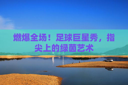 燃爆全场！足球巨星秀，指尖上的绿茵艺术