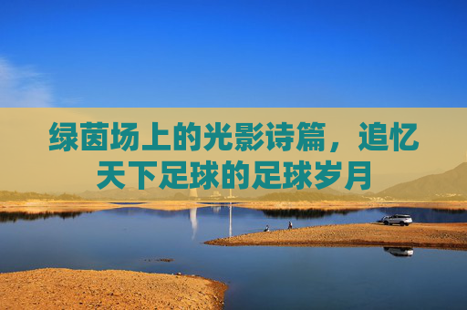 绿茵场上的光影诗篇,追忆天下足球的足球岁月