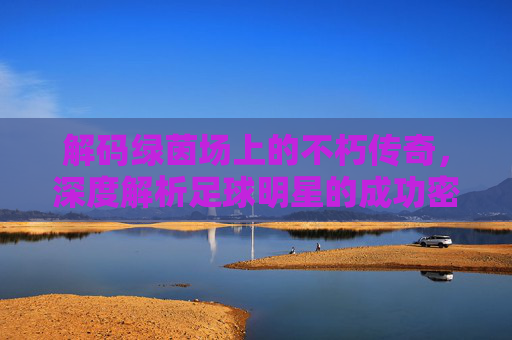 解码绿茵场上的不朽传奇,深度解析足球明星的成功密码