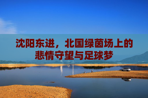 沈阳东进,北国绿茵场上的悲情守望与足球梦