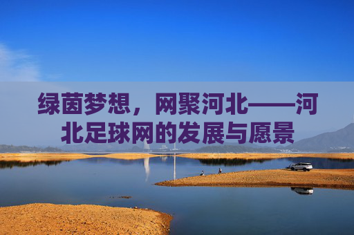 绿茵梦想，网聚河北——河北足球网的发展与愿景