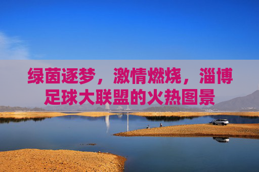 绿茵逐梦,激情燃烧,淄博足球大联盟的火热图景
