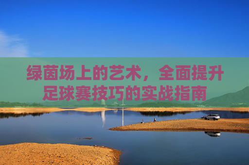 绿茵场上的艺术，全面提升足球赛技巧的实战指南