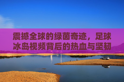 震撼全球的绿茵奇迹，足球冰岛视频背后的热血与坚韧