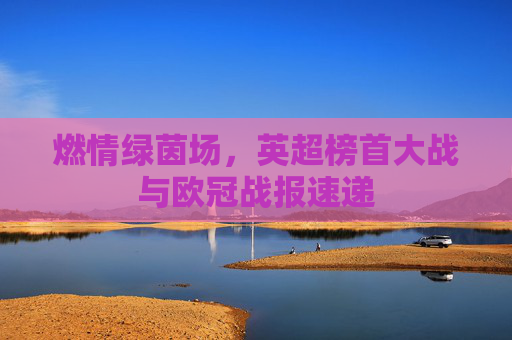 燃情绿茵场,英超榜首大战与欧冠战报速递