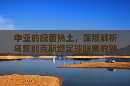 中亚的绿茵热土,深度解析乌兹别克斯坦足球联赛的独特魅力与崛起之路