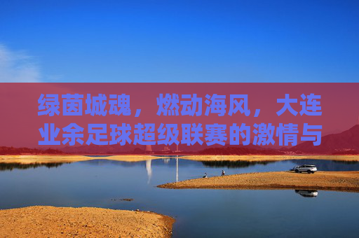 绿茵城魂,燃动海风,大连业余足球超级联赛的激情与传承
