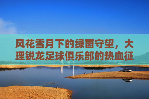 风花雪月下的绿茵守望,大理锐龙足球俱乐部的热血征程