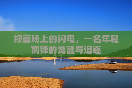 绿茵场上的闪电,一名年轻前锋的觉醒与追逐
