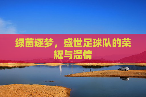 绿茵逐梦，盛世足球队的荣耀与温情