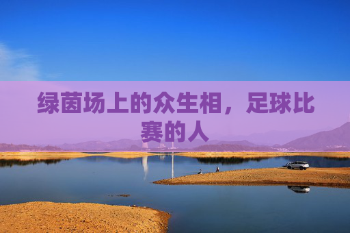 绿茵场上的众生相,足球比赛的人