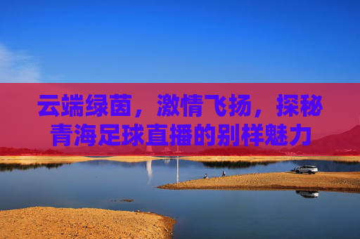 云端绿茵,激情飞扬,探秘青海足球直播的别样魅力
