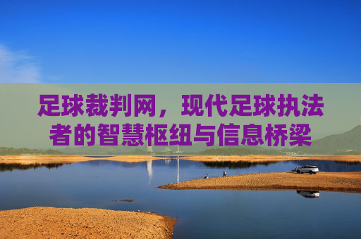足球裁判网,现代足球执法者的智慧枢纽与信息桥梁