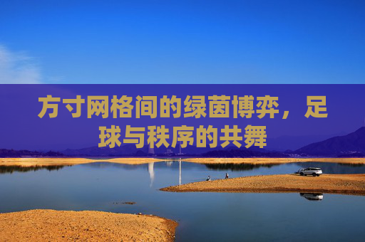 方寸网格间的绿茵博弈,足球与秩序的共舞