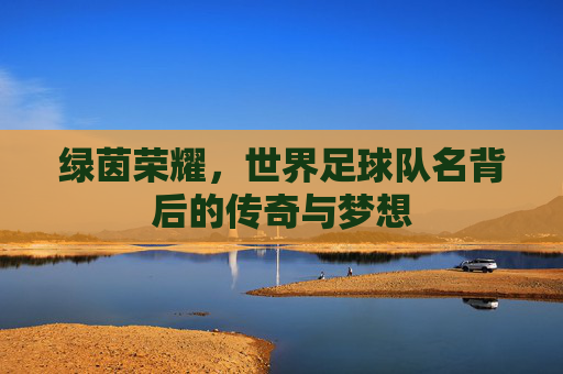 绿茵荣耀,世界足球队名背后的传奇与梦想