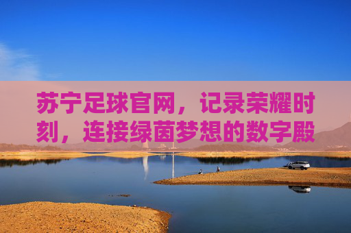 苏宁足球官网，记录荣耀时刻，连接绿茵梦想的数字殿堂