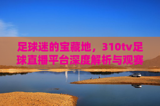 足球迷的宝藏地，310tv足球直播平台深度解析与观赛指南