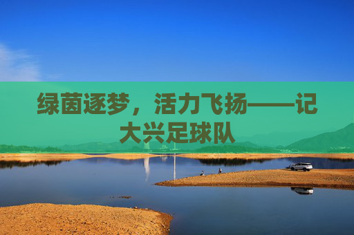 绿茵逐梦,活力飞扬——记大兴足球队