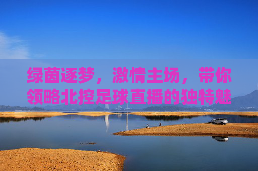 绿茵逐梦,激情主场,带你领略北控足球直播的独特魅力