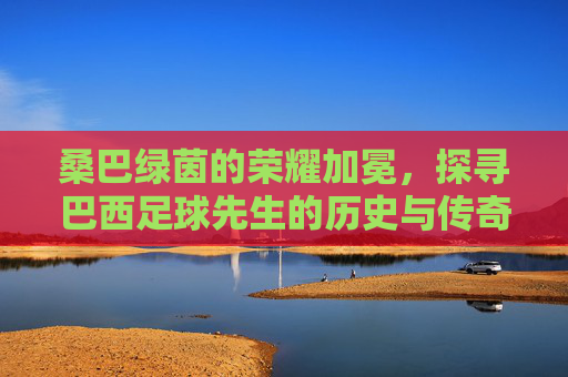 桑巴绿茵的荣耀加冕,探寻巴西足球先生的历史与传奇