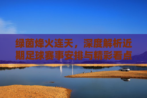 绿茵烽火连天,深度解析近期足球赛事安排与精彩看点