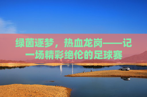 绿茵逐梦,热血龙岗——记一场精彩绝伦的足球赛