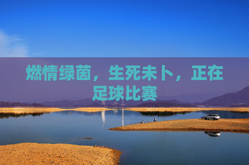 燃情绿茵,生死未卜,正在足球比赛