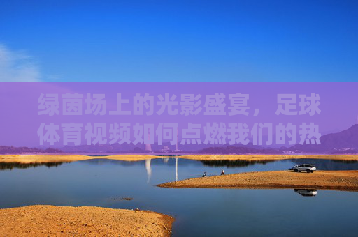 绿茵场上的光影盛宴,足球体育视频如何点燃我们的热爱