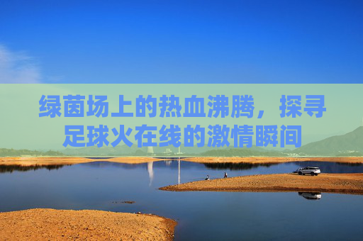 绿茵场上的热血沸腾，探寻足球火在线的激情瞬间
