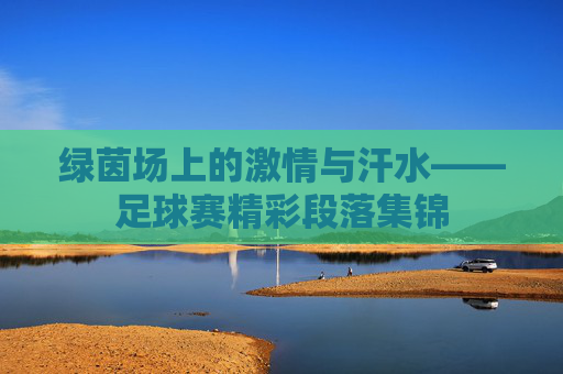 绿茵场上的激情与汗水——足球赛精彩段落集锦