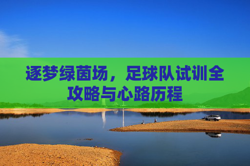 逐梦绿茵场，足球队试训全攻略与心路历程