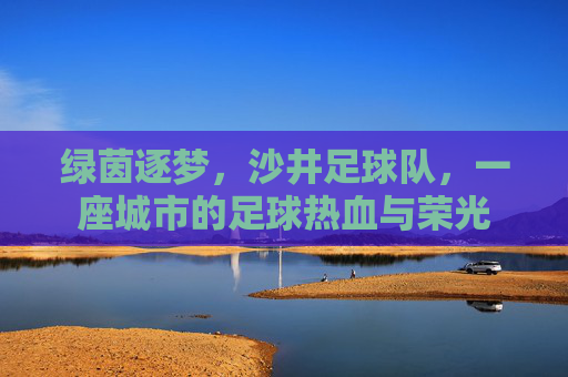 绿茵逐梦，沙井足球队，一座城市的足球热血与荣光