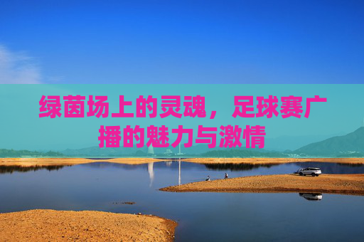 绿茵场上的灵魂，足球赛广播的魅力与激情