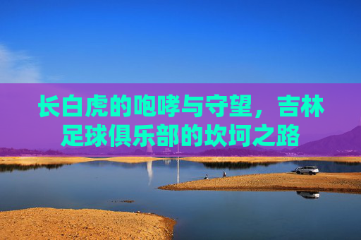 长白虎的咆哮与守望，吉林足球俱乐部的坎坷之路