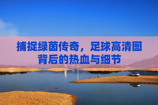 捕捉绿茵传奇，足球高清图背后的热血与细节