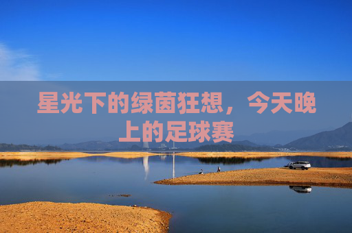 星光下的绿茵狂想，今天晚上的足球赛