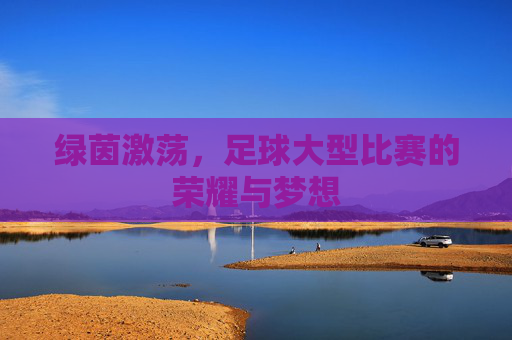 绿茵激荡,足球大型比赛的荣耀与梦想