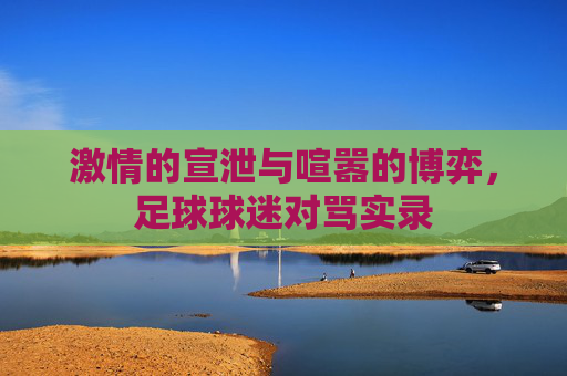 激情的宣泄与喧嚣的博弈，足球球迷对骂实录