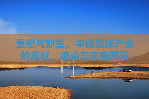 重塑与新生，中国足球产业的现状、痛点与未来图景
