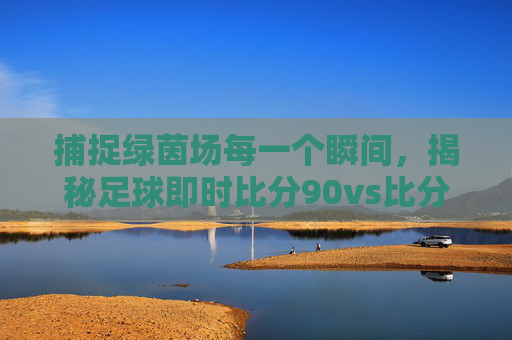 捕捉绿茵场每一个瞬间,揭秘足球即时比分90vs比分直播的极致体验