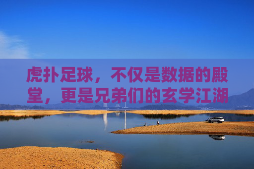 虎扑足球,不仅是数据的殿堂,更是兄弟们的玄学江湖
