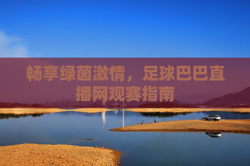 畅享绿茵激情,足球巴巴直播网观赛指南